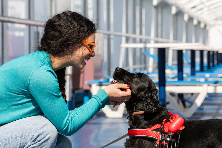 Zonas accesibles para mascotas