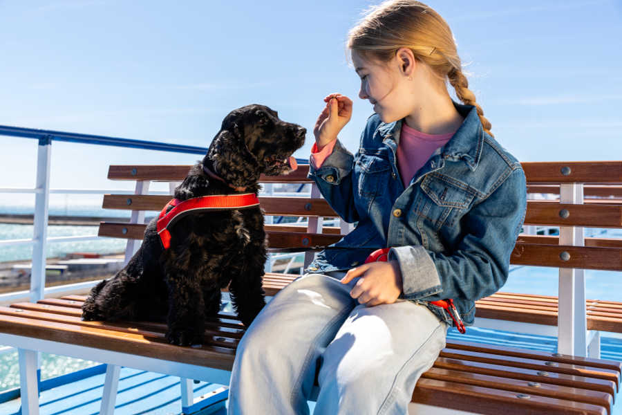 Zonas accesibles para mascotas