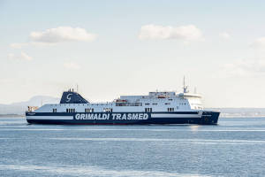 Trasmed