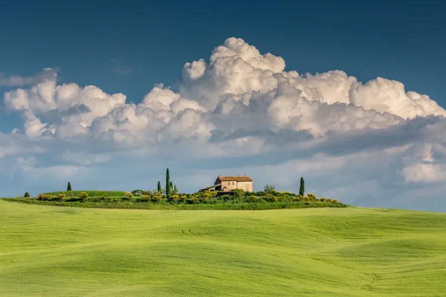 Arte Toscana